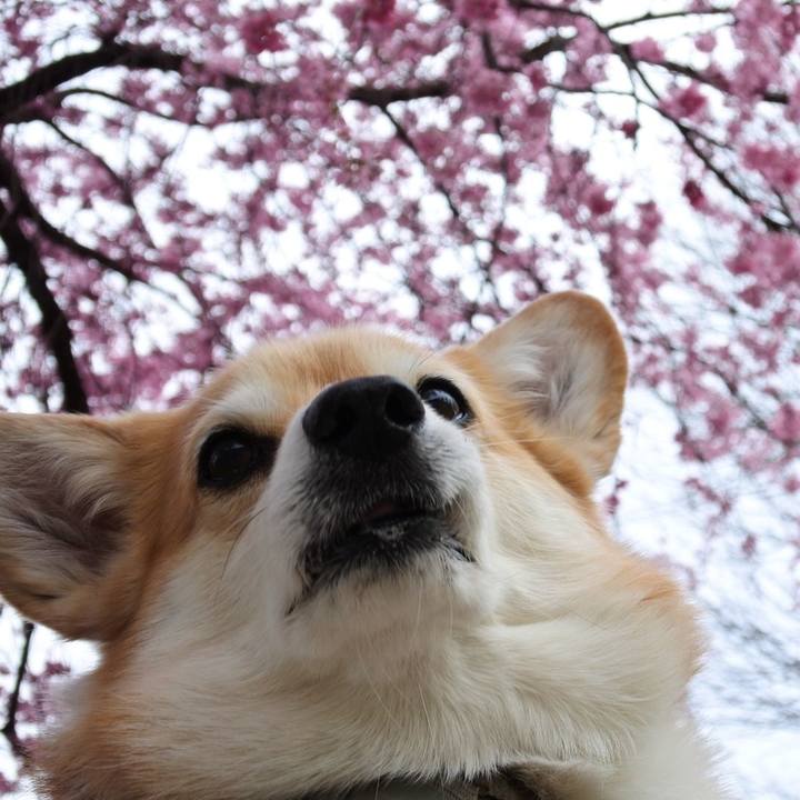 Dce3d29b d756 4861 a2a4 6e8b7c71f22d 1775478548189