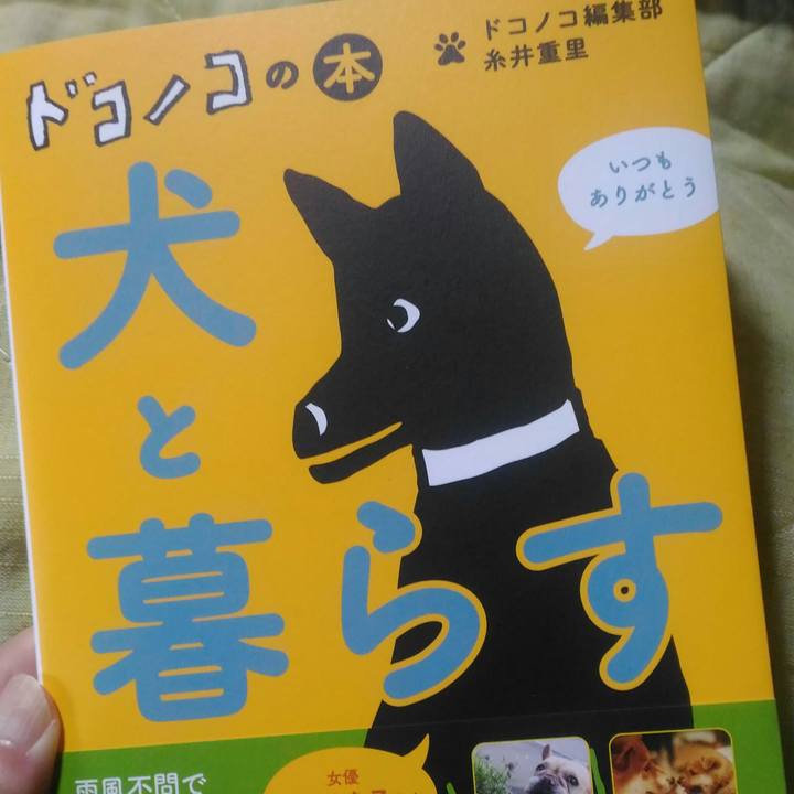 Dce3e0c3 46a6 459c bc55 025f91627d75 1556259656235