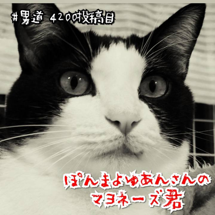 Dce3f1ef 8956 4746 b38b e12c6795c2b5 1575276852160