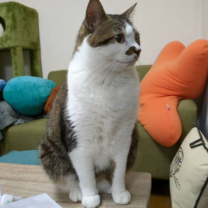 Dce3fa3a 6525 403f b6c2 c7bc1a5f4035 1669722126264