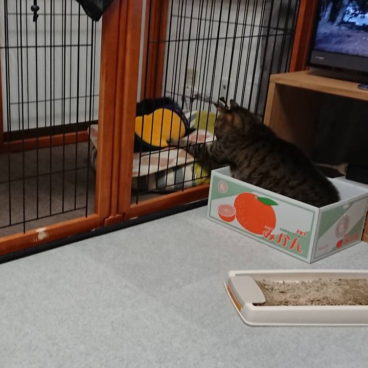 Dce415d2 94ce 4f80 adf4 69dff8bb25aa 1513524009254