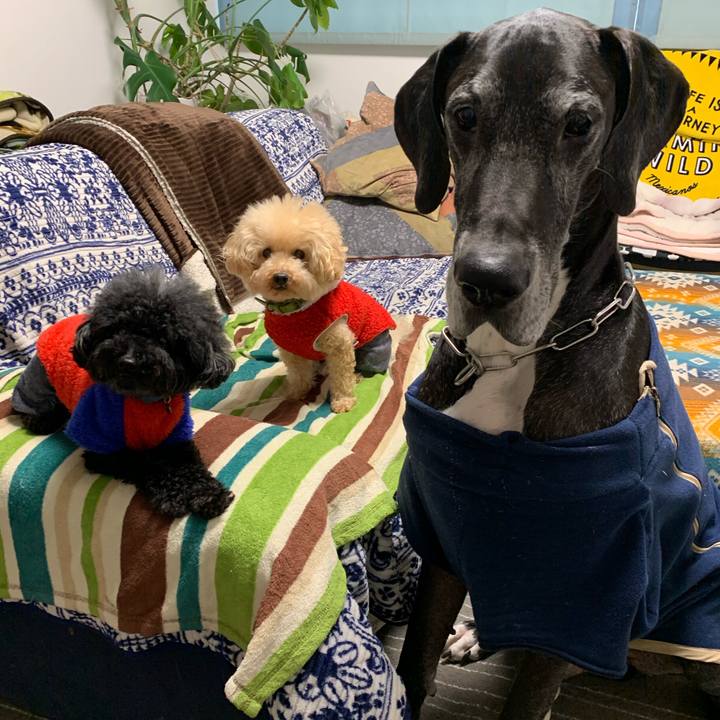 Dce416a7 2de6 4e23 a120 903704e7bc58 1580165078778