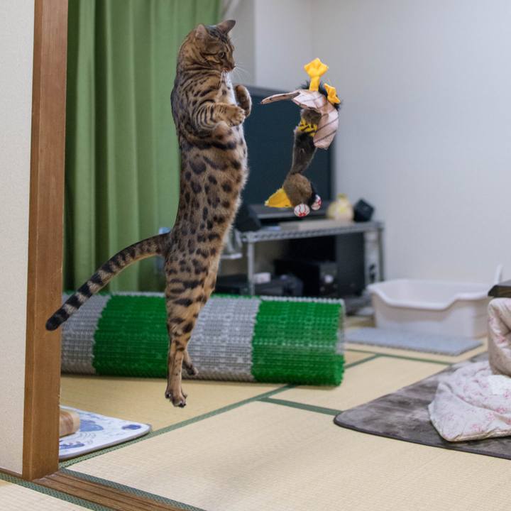 Dce43ac1 db8c 41d5 88eb cfb537cbd23d 1518102243161