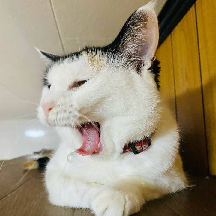 Dce44c93 9fbb 4242 9979 e02ab1a1b606 1659449847840