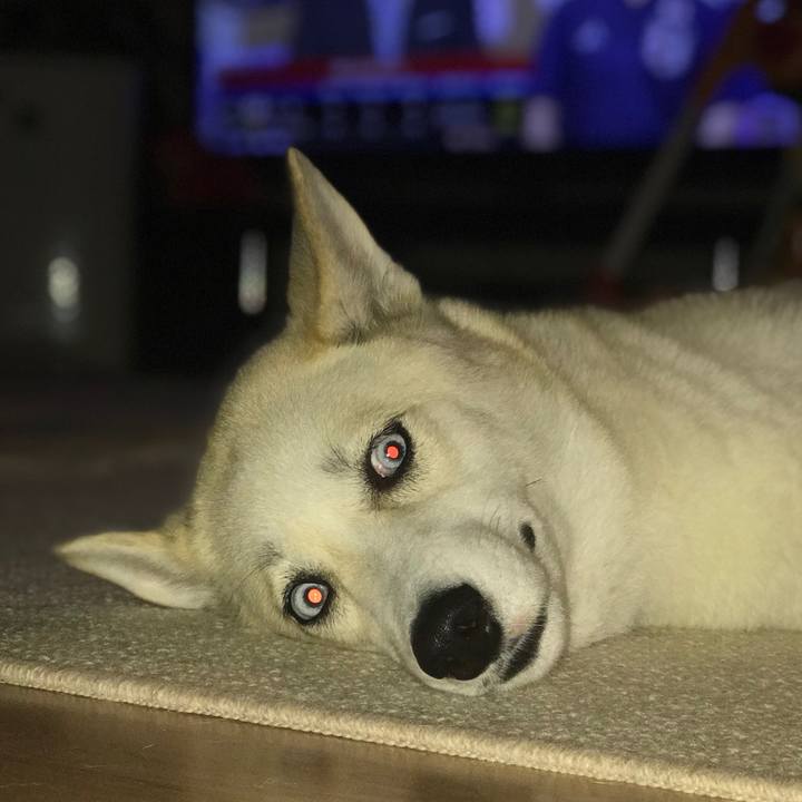 Dce45aff 4adb 4515 ba4f d6ccb1902a01 1530202013897