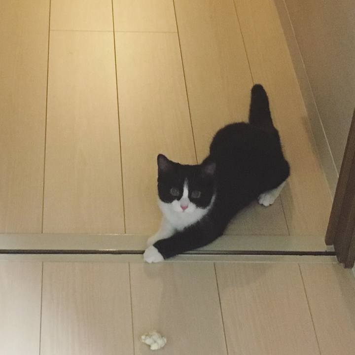 Dce480e5 7f04 42fb 9bd6 9828d70f6307 1529680535025