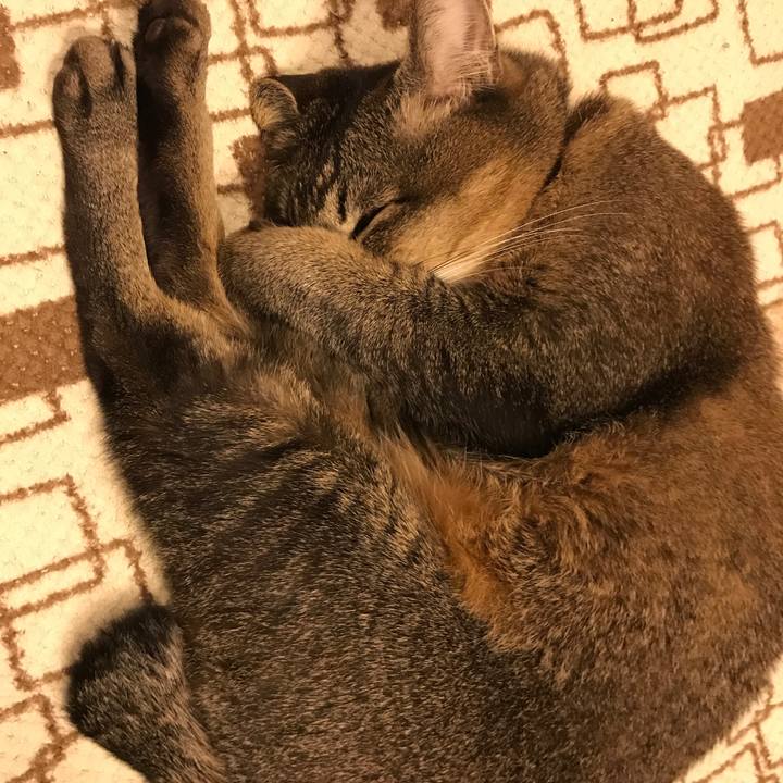 Dce4f559 f0e5 4165 9878 dd1ae0109605 1519905813245