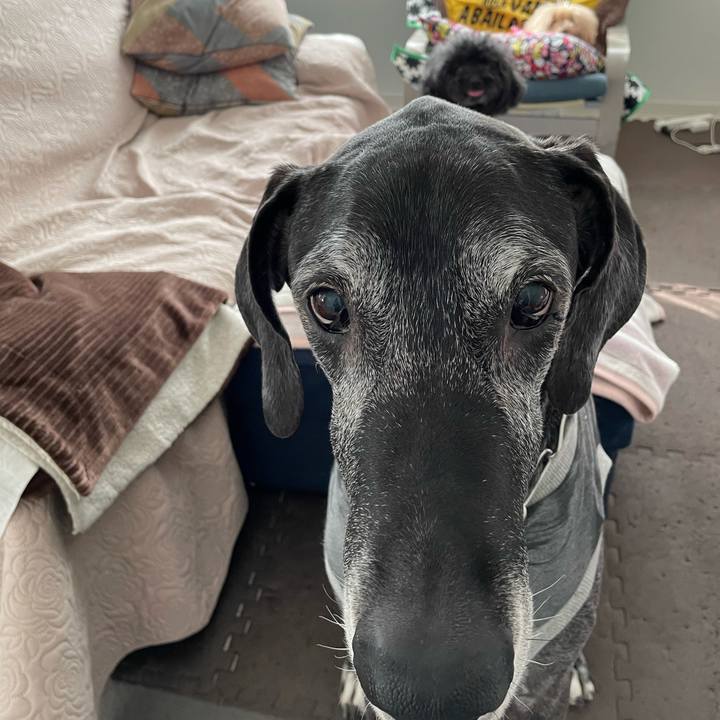 Dce519a7 9c49 49a2 b49f 2ff2282bd0d0 1618958360448