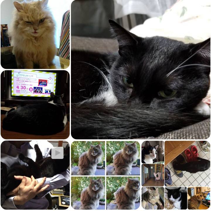 Dce5375a 239e 4ea4 a98f 0925c321a23e 1555556967503