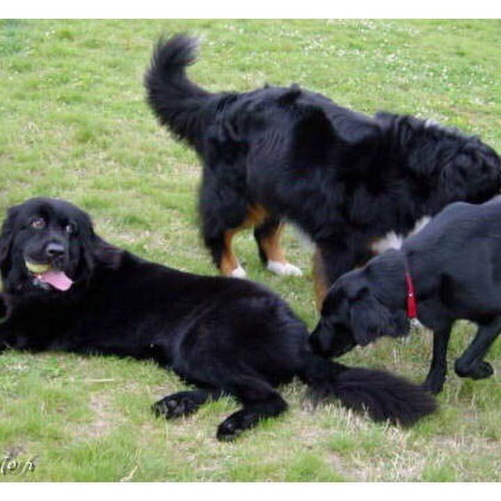 Dce53b7e d6a8 408b 82a2 73514583aed8 1764489971328