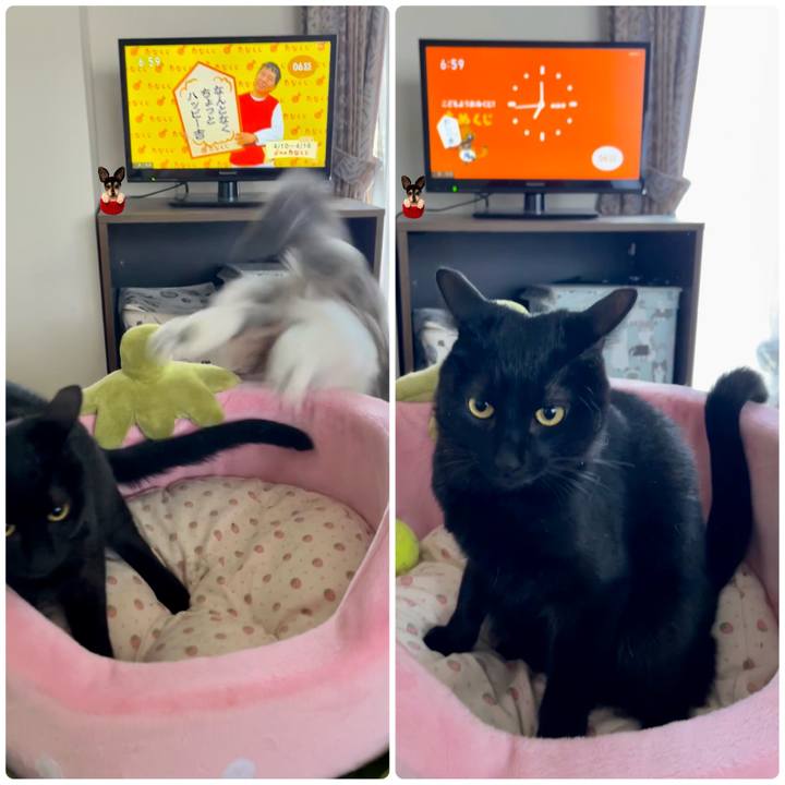 Dce5a034 2dc5 4046 9b37 0511984ba0a1 1681082420386