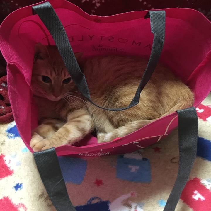 Dce5a9da 280d 4d2f b085 cb7b8addb092 1546609855442