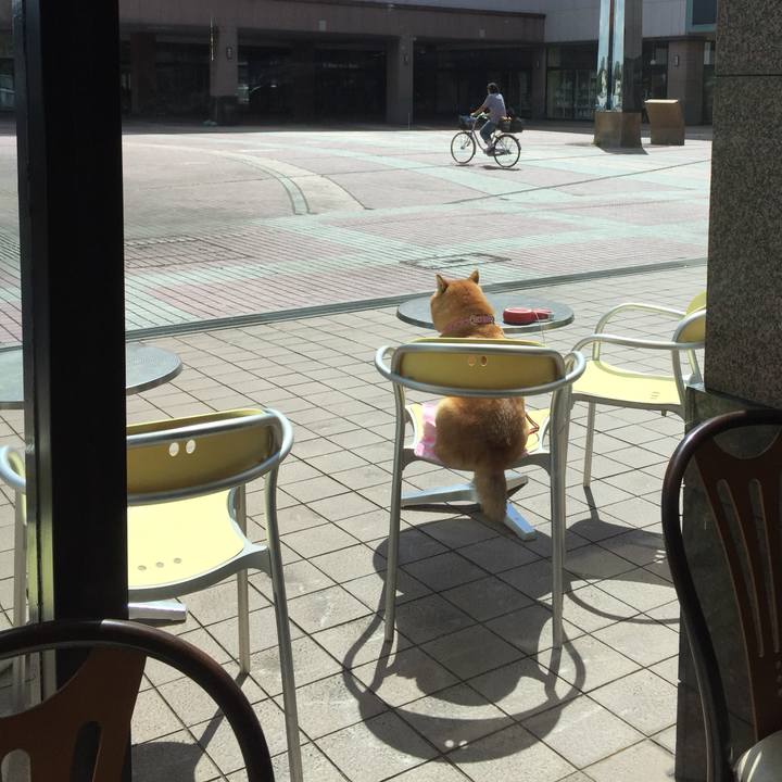 Dce5d805 1ee3 4cc8 95bd bc8c54933919 1534663311017