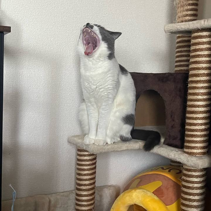 Dce5e4e1 b45a 4685 93b9 53035e4dbf89 1722147255941