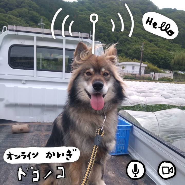 Dce5e52a 0009 4c4f 9064 9a11c2274a58 1590730878272