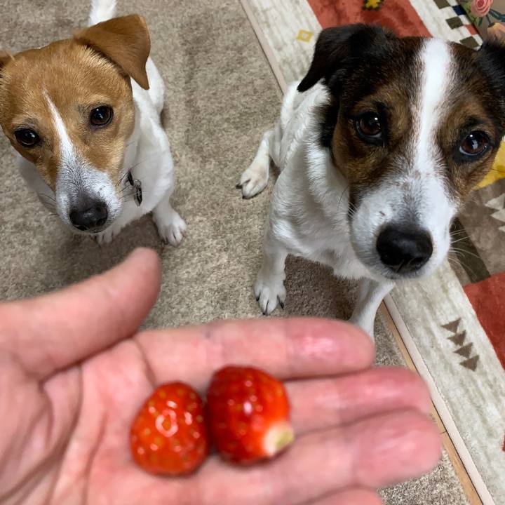 Dce60a22 fa82 4835 9ffa 95bfe58a9663 1587264041991