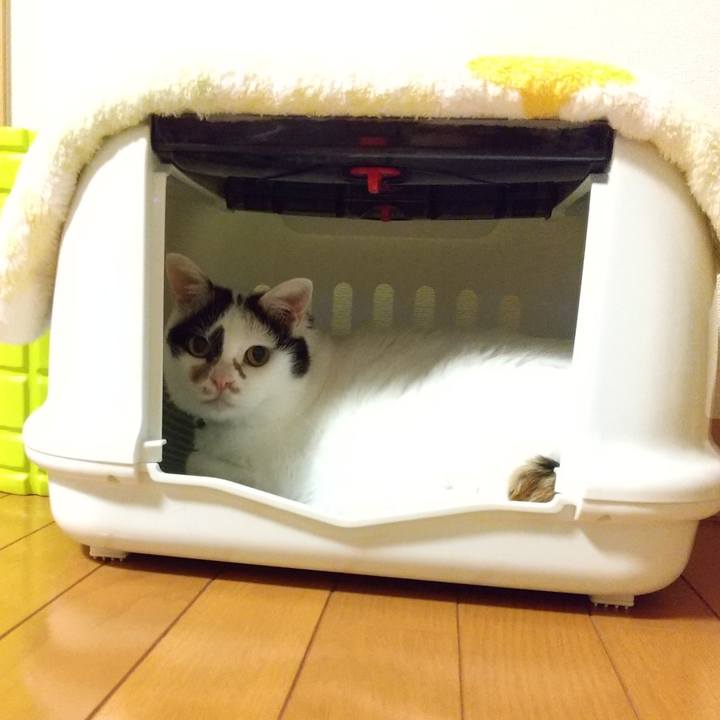 Dce6287b e0c1 443e ab71 8989b67032f7 1625486550775