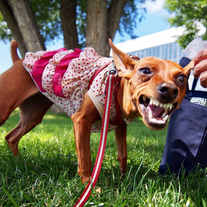 Dce6401a 44ea 4605 960f 213d43819c66 1531738196089