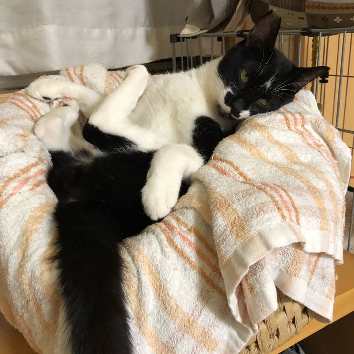 Dce64051 7a9e 48a1 86d3 ca3b2ab02bf4 1536986068684