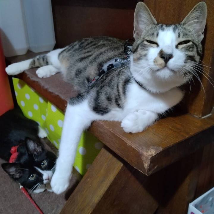 Dce65215 0e04 40f8 8bde 840c404ededd 1752030278595