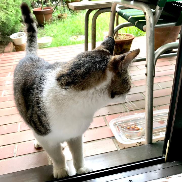 Dce6c97a 5c94 4608 a2af 88d1fd1adbd8 1536409695071