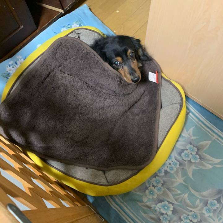 Dce6ca7c 2295 43eb 8635 7ba28f92f9a3 1581375322913