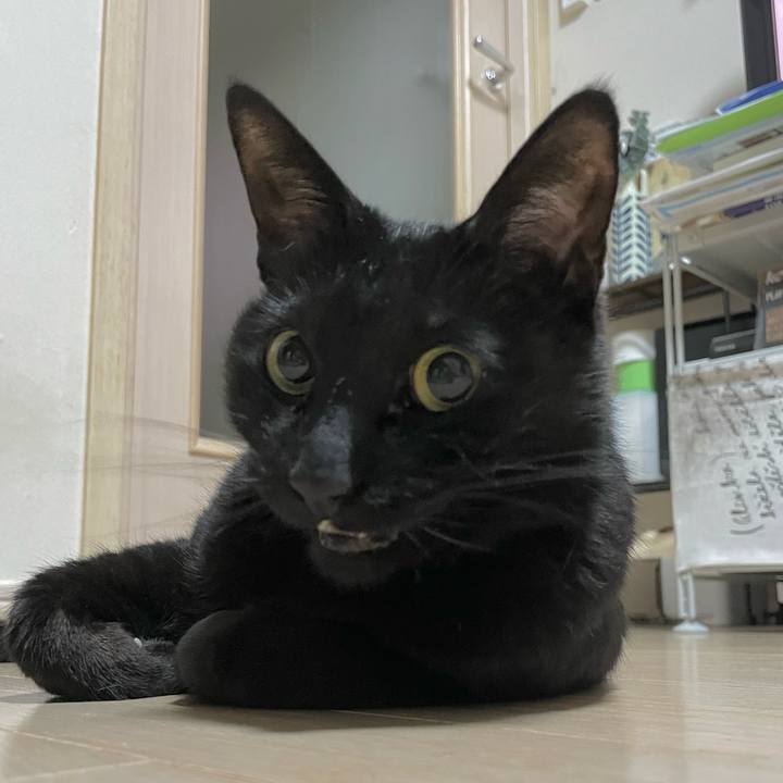 Dce6e637 ca54 437e b853 011914b9b5c7 1681990687582