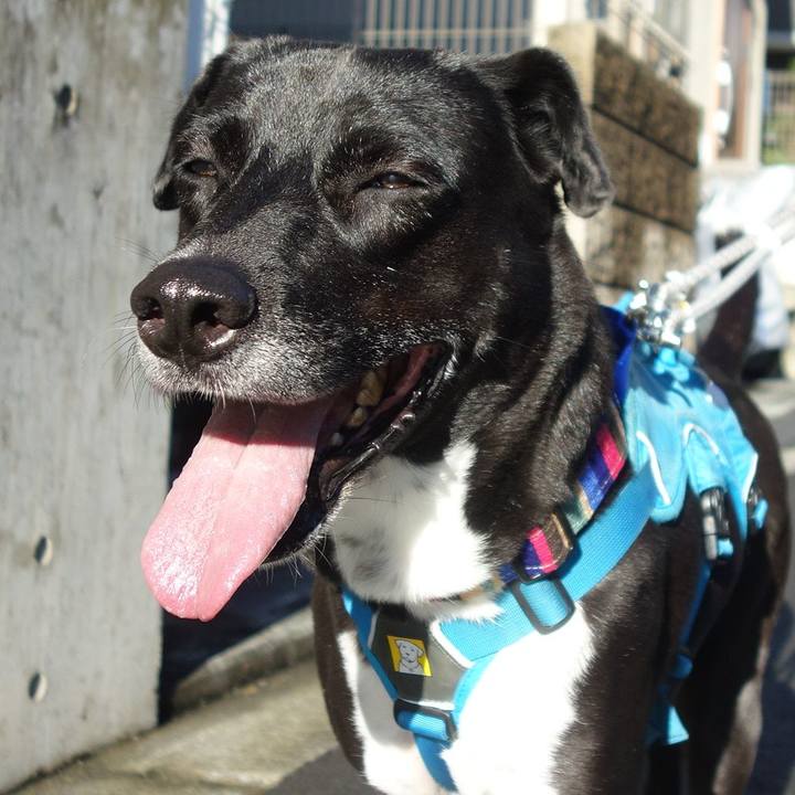 Dce704bc c416 4e75 b5e3 843e48c83be7 1634948600213