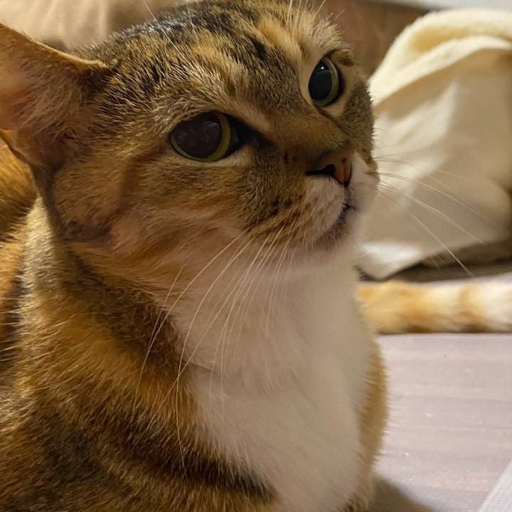 Dce70657 b308 43c2 b844 7c7742640cff 1613312830802