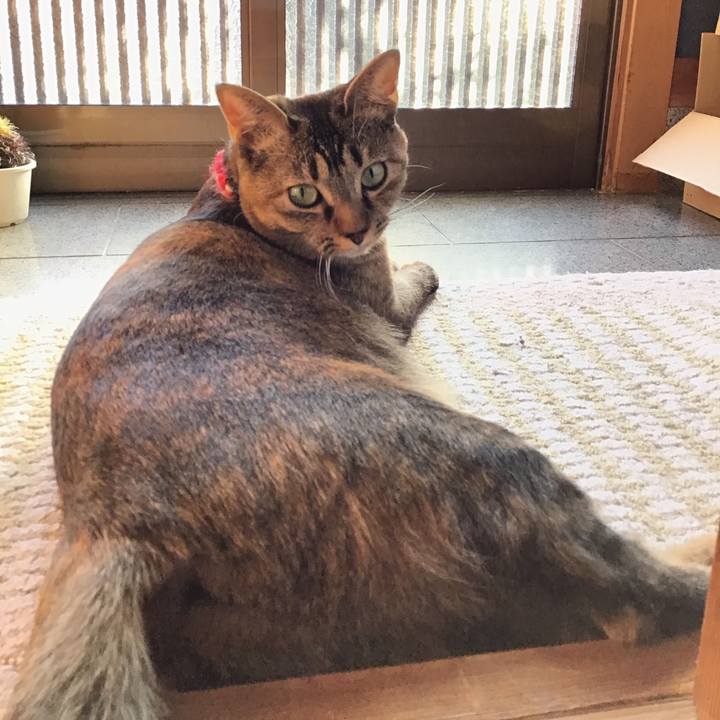 Dce71dd6 d61c 47aa 8ec4 a442012f62fe 1608531453110