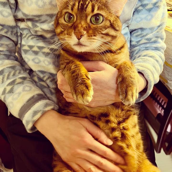 Dce72670 f8c5 4378 a0cf 4563248f0b82 1643151829492