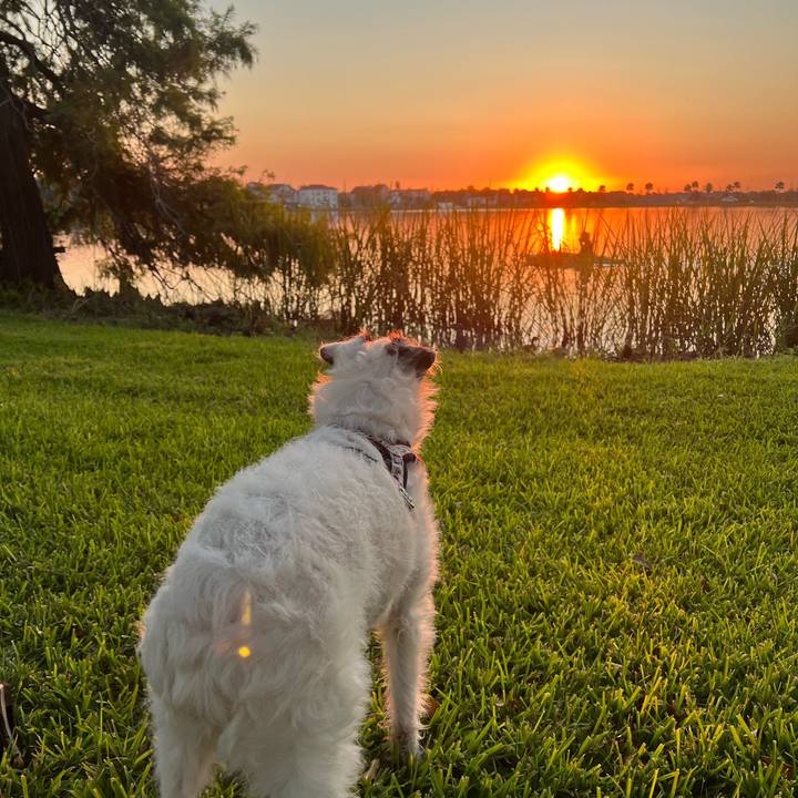 Dce73955 d6ec 460f bb6a 34b1c2a76e03 1728597584305