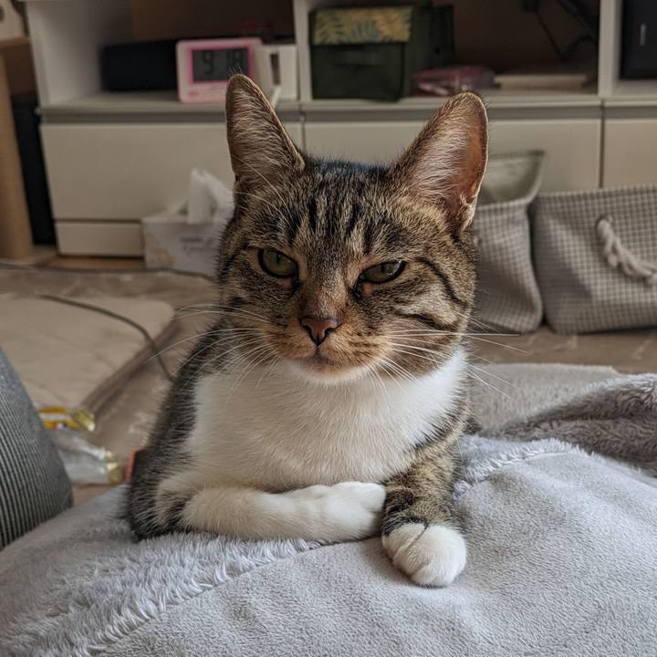 Dce74eeb 9d00 49c9 8fd2 e0889827c6ab 1713310667652