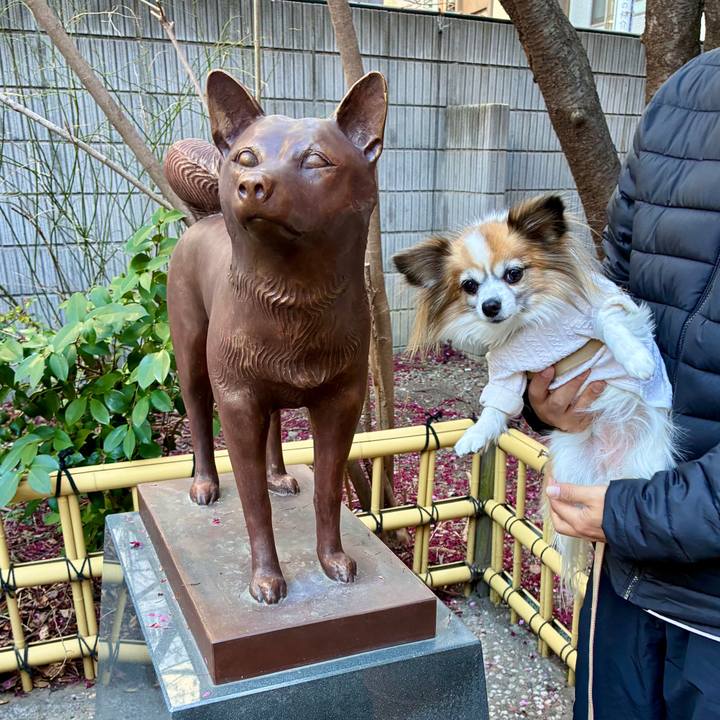 Dce78280 c593 4f12 8bde 7ae86c3af7f2 1773465397501