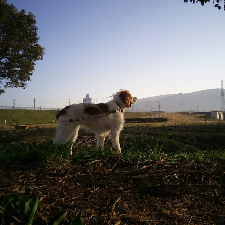 Dce79720 b8ff 46f2 9973 fe4b4d6f9eda 1520124557276