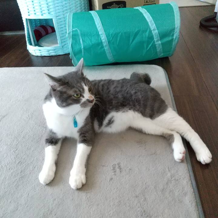 Dce7a22c 8816 4d28 8e3f a64e97ecbb82 1631252093920