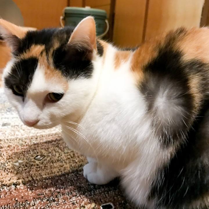 Dce7bfde 1f10 4b0a b0e2 adade5ce4fec 1519471509225