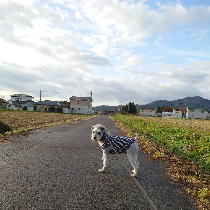 Dce7ccb8 e542 48e5 8b57 cdb11944d5dd 1762557799389