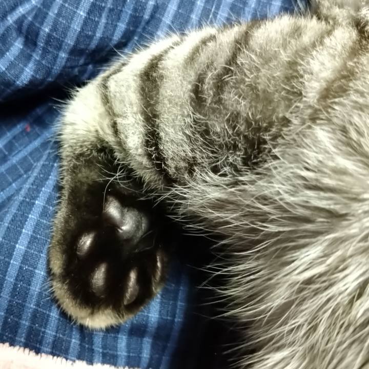 Dce7df8e c7e3 4498 9799 deb9d66611fa 1635172196602