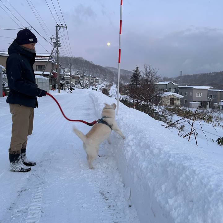 Dce7e63b f413 4c97 a2e6 77c7823173c5 1734303371786