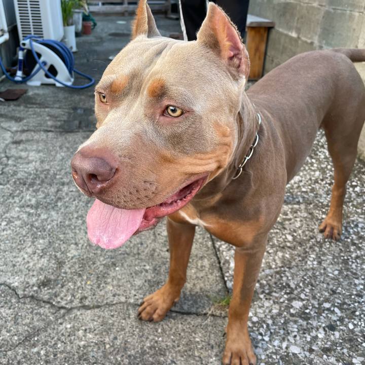 Dce7f929 c653 4e70 8cde 7d6d7043a26b 1664710153329