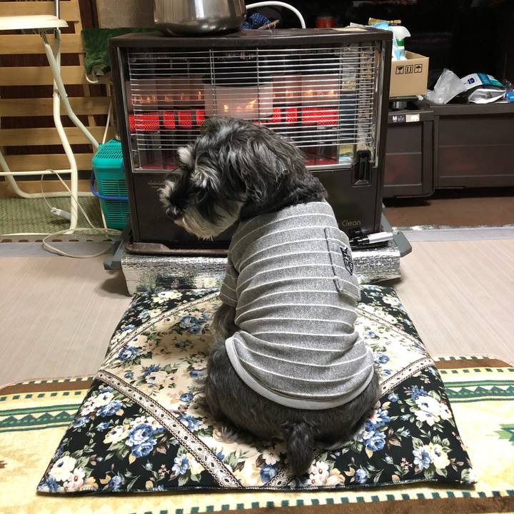 Dce80dbb 4951 464b 9470 83c40576be68 1636718427784