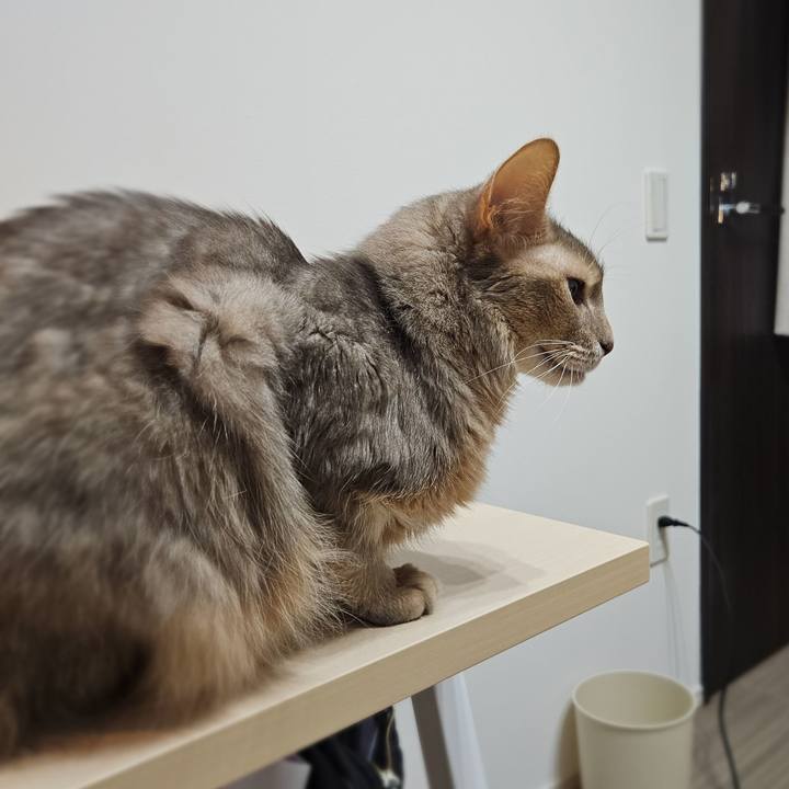 Dce851bd 7c36 4fc7 977c 2fd45eb30207 1767523882449