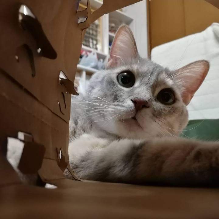 Dce8676d 450b 4444 bcf1 4ad380dbd2ec 1548423598307