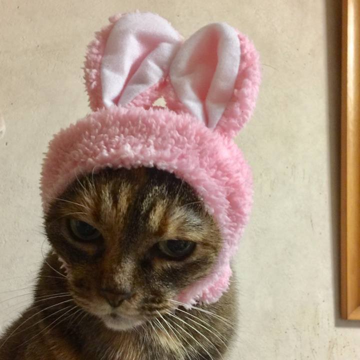 Dce8b6f0 fb40 4045 a9df d4dc5dbc52c1 1570190877555