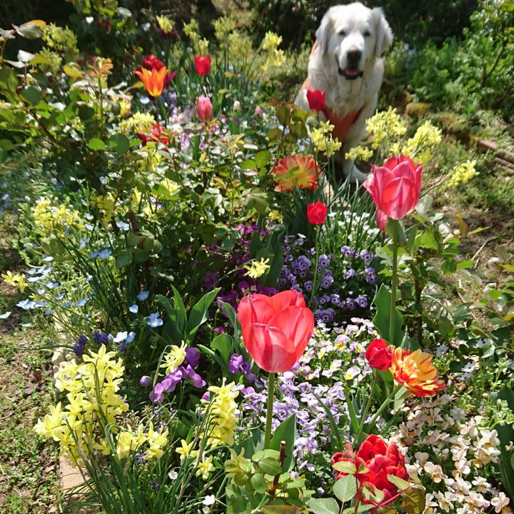 Dce8e33c 0e13 4231 9850 779ca5c66300 1523850401649