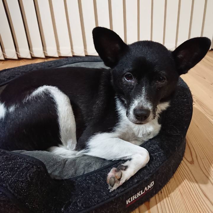 Dce8ea0b 1075 4573 a71e dfb5c41e2e75 1572535620227