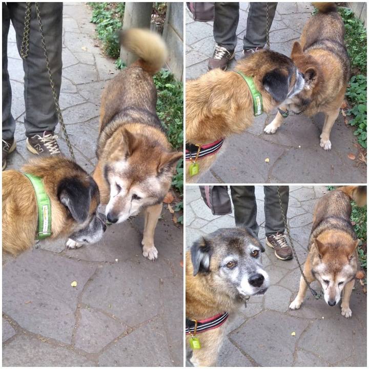 Dce91be6 774b 4b94 b6b2 75d8243613b9 1570063646431