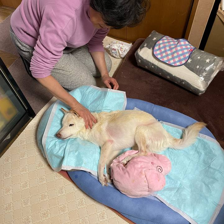 Dce937d3 a932 4d38 acfb 9742060bedbb 1674002003225