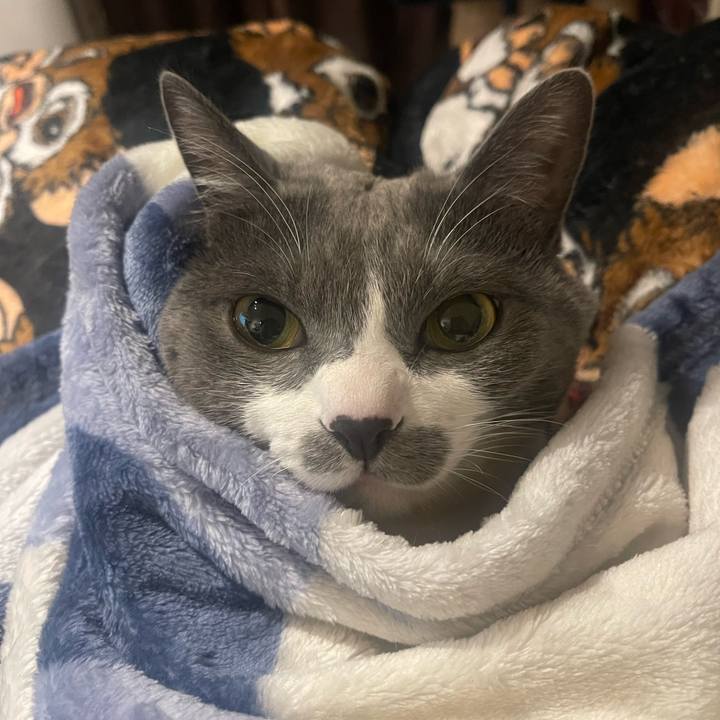 Dce93ba5 854f 420f 8643 d5c13b49e6e9 1739017904302